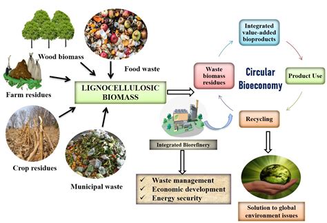  Lignocellulosic Biomass: Yenilenebilir Enerji Kaynağımız mı Olacak?