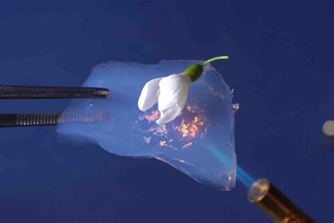  Aerogel Üretimi: Geleceğin Yalıtım Malzemesi mi?