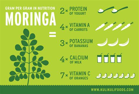 Moringa - Güçlü Bir Besin Kaynağı ve Doğal Pestisit Üreticisi!